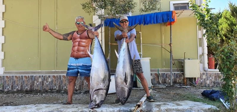 Amatör balıkçıların oltasına takılan orkinoslar kamerada
