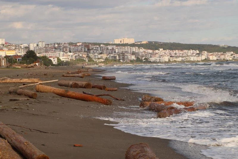 Ayancık’ta sel sularının denize sürüklediği tomruklar Samsun sahillerinde
