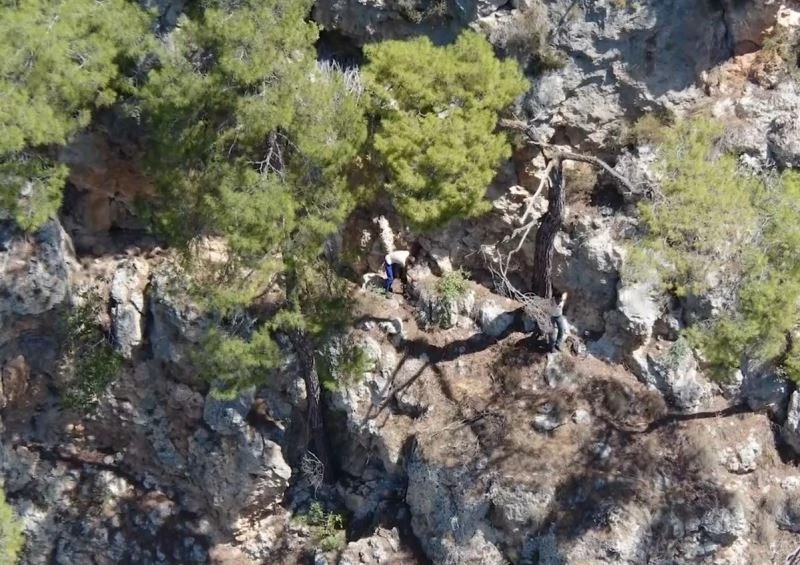 Defineci 2 kişi, indikleri uçurumda mahsur kaldı
