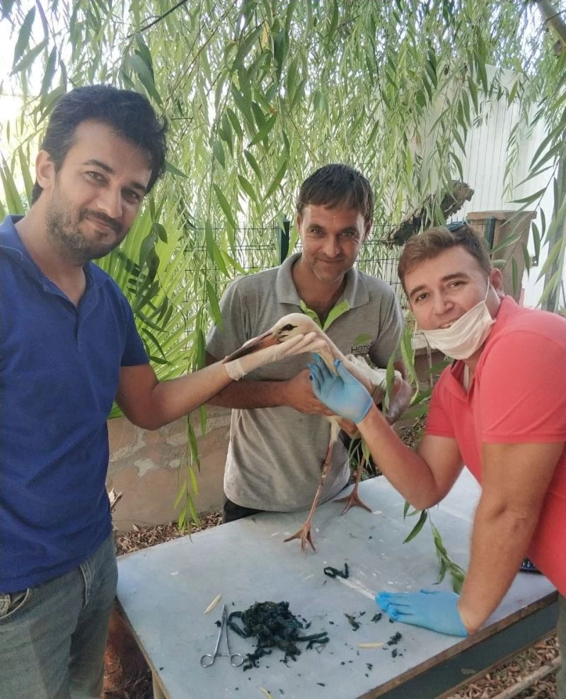 Poşet yutan leylek kurtarıldı
