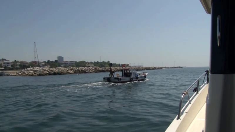 İstanbul İl Tarım ve Orman Müdürlüğü, midye avcılığını böyle denetliyor
