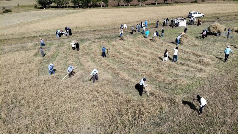 (Özel) Avrupa’da yılın müzesinden harman festivali
