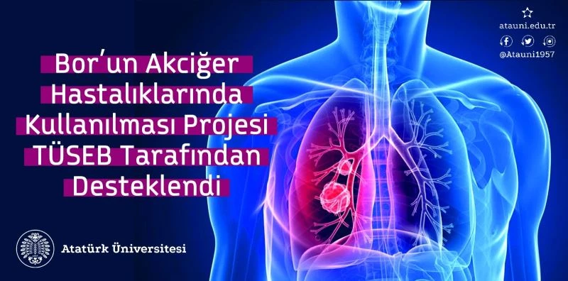 Bor’un akciğer hastalıklarında kullanılması projesi TÜSEB tarafından desteklendi
