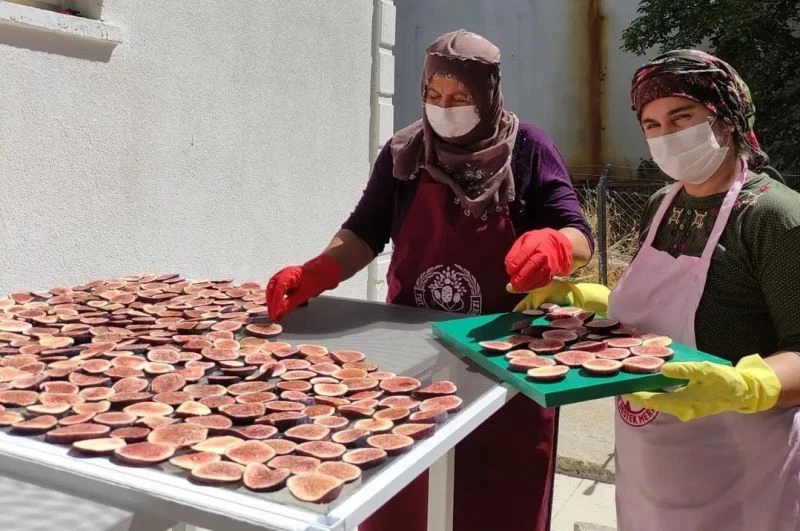 Tutlu kadınlar siyah incir cipsi yapıyor
