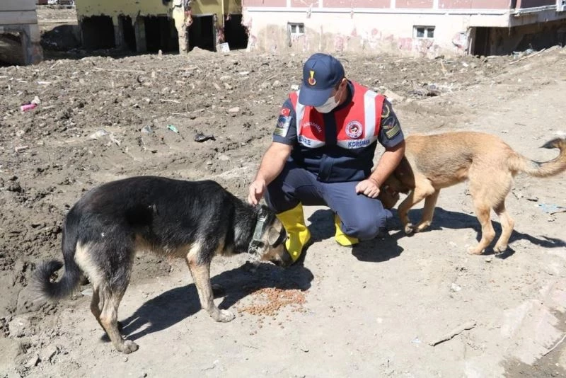 Önce vatandaşların sonra da sokak hayvanların imdadına yetiştiler
