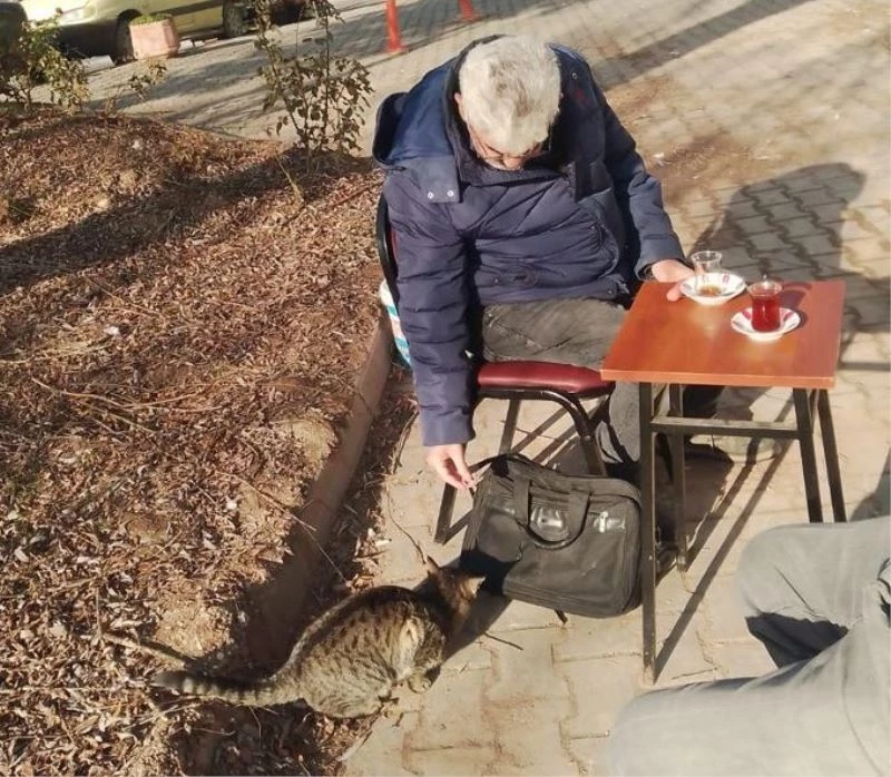 Mahalle kedileri onlar sayesinde doyuyor
