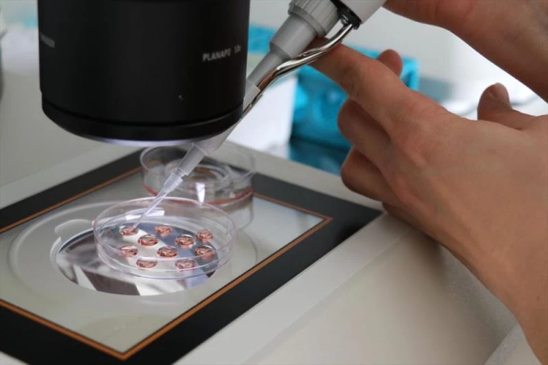 Yüksek genetikli boğalar yetiştirip ithalatın azaltılması hedefleniyor