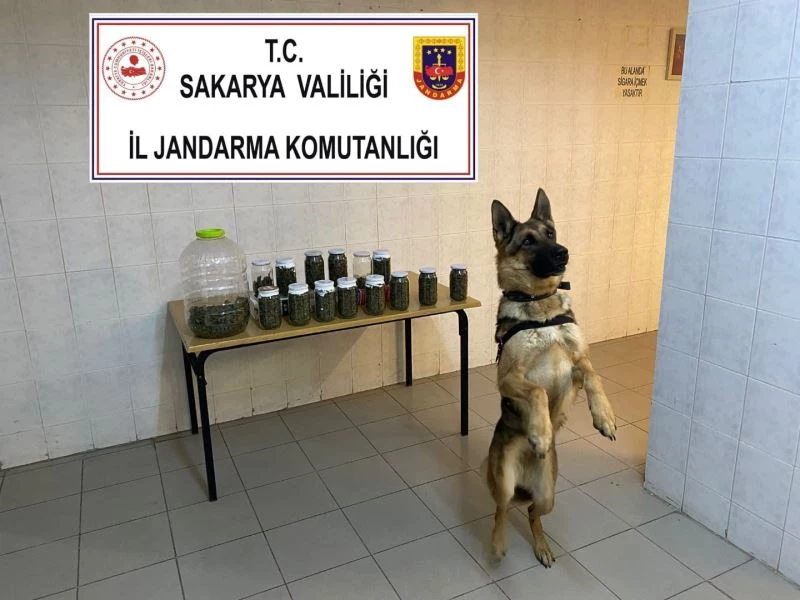 14 kavanoz ve plastik bidon içerisinde toplam 4 kilo esrar ele geçirildi
