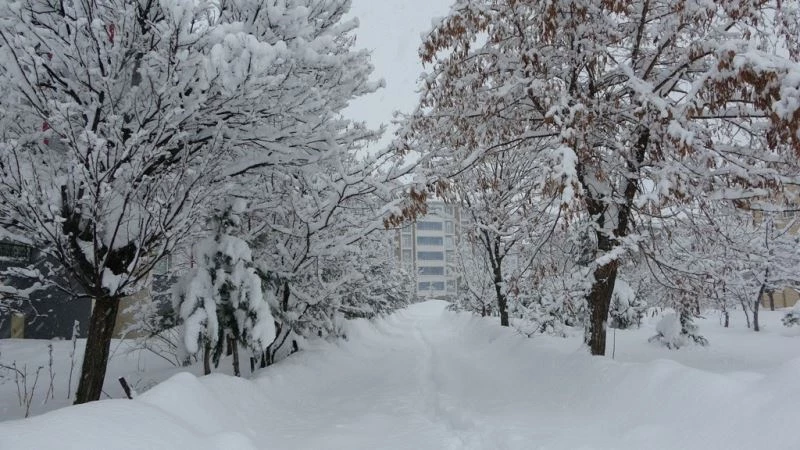 Bitlis’te 203 köy yolu ulaşıma kapandı
