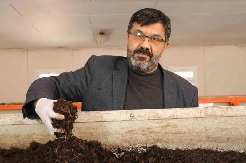 Atık çamur solucanlar tarafından sindirilerek organik gübreye dönüşüyor
