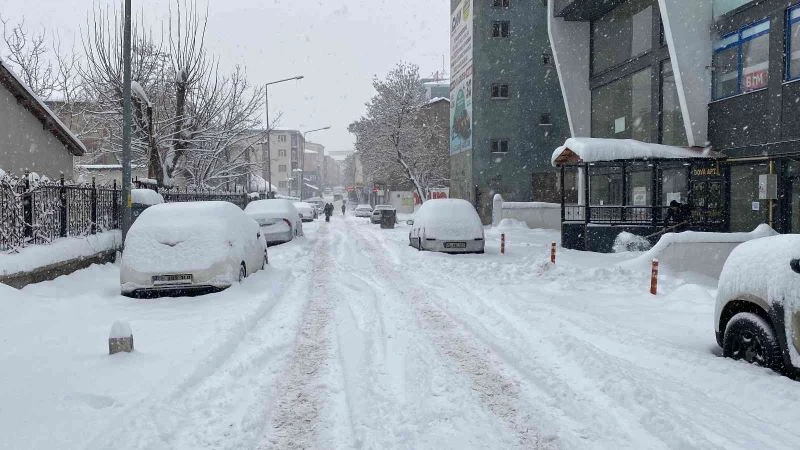 Muş’ta 261 köy yolu ulaşıma kapandı
