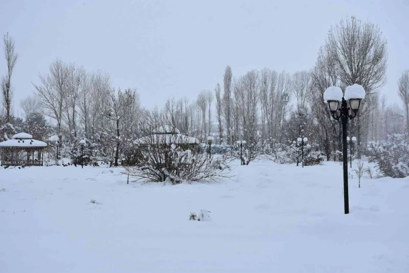 Tatvan’da kar yağışı hayatı durma noktasına getirdi
