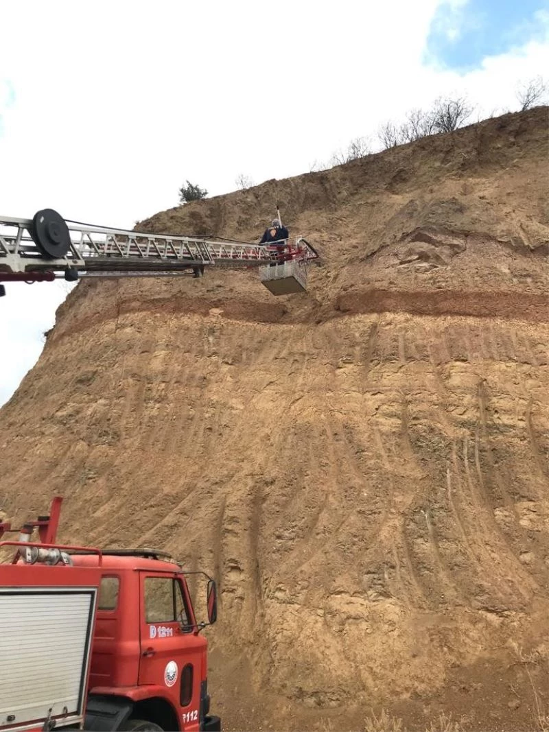 Uçurumda mahsur kalan kediyi itfaiye kurtardı
