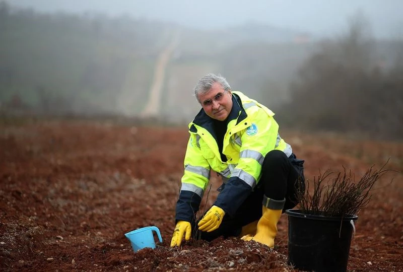 Kurulduğu günden bu yana 2 buçuk milyon fide toprakla buluştu
