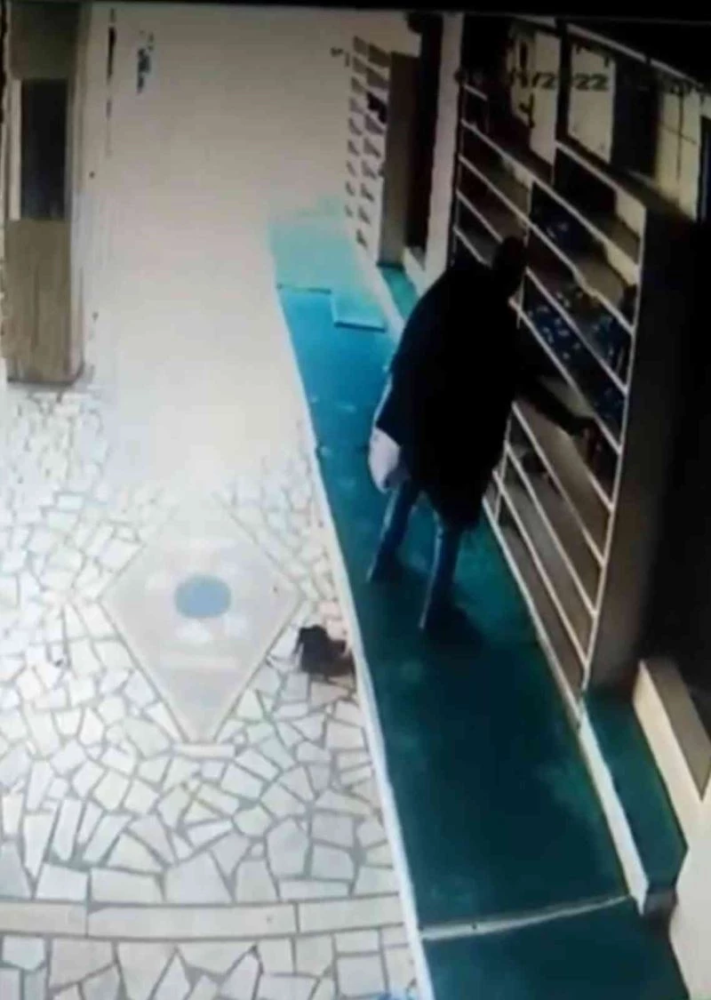 Cemaat namazda, hırsız iş başında
