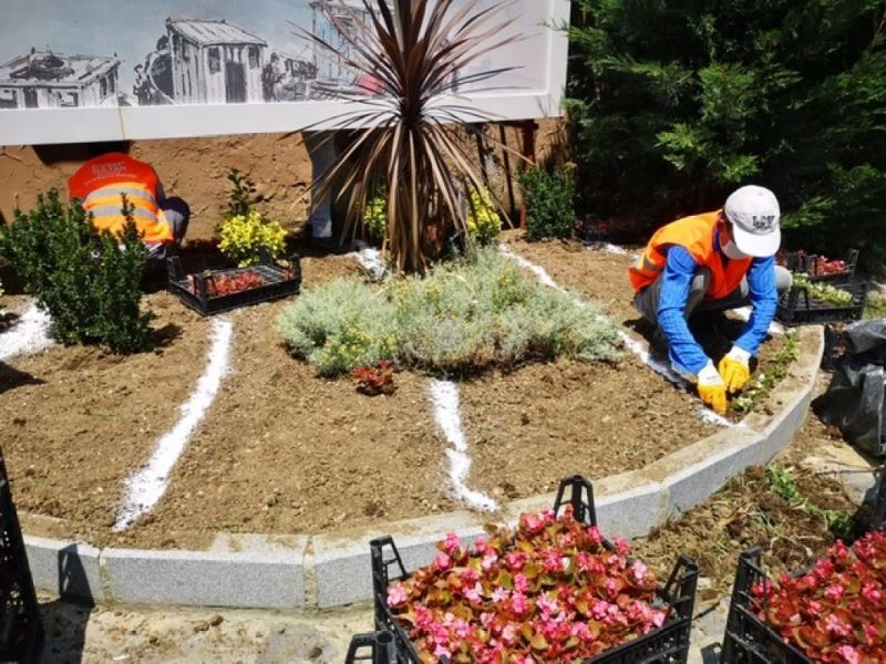 2021 yılında 53 bin 47 adet ağaç ve çalı dikildi
