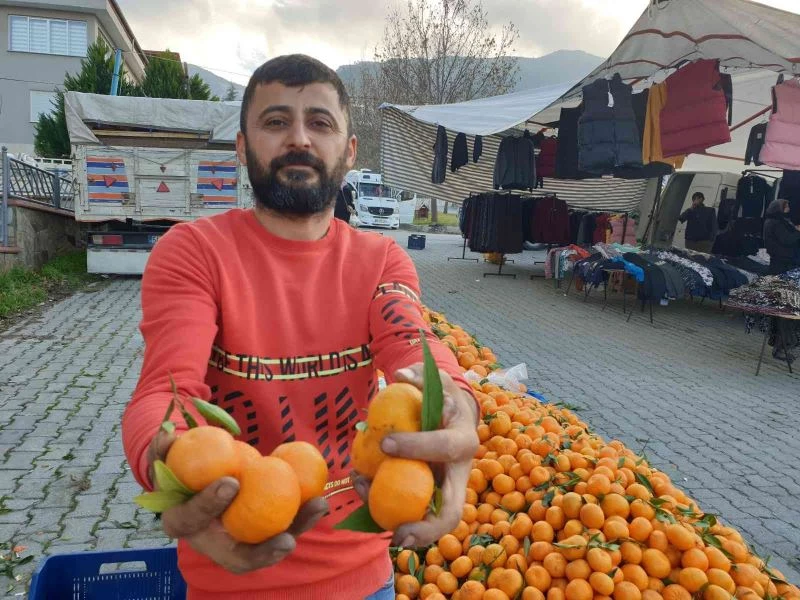 Bağışıklık sistemini güçlendiren mandalinaya talep arttı
