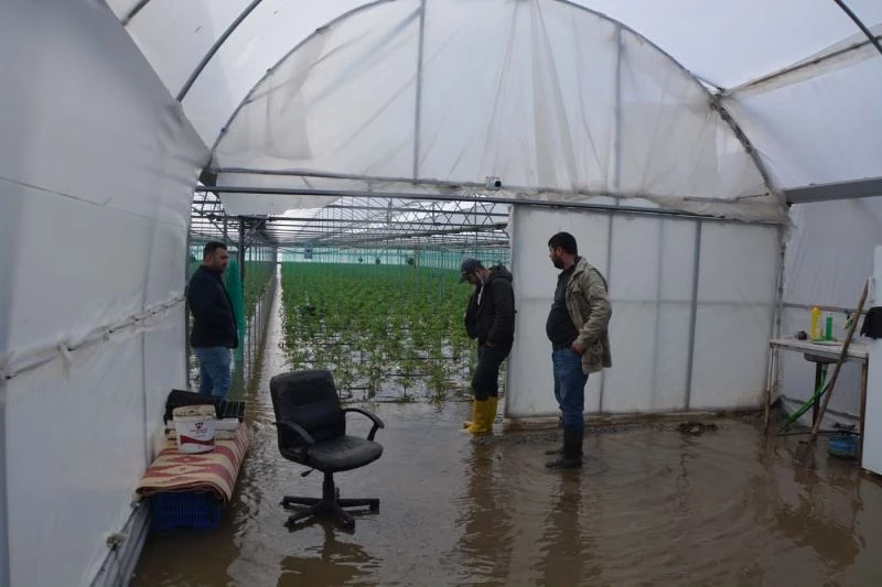 Ortaca’da seralar ve narenciye bahçeleri su altında kaldı
