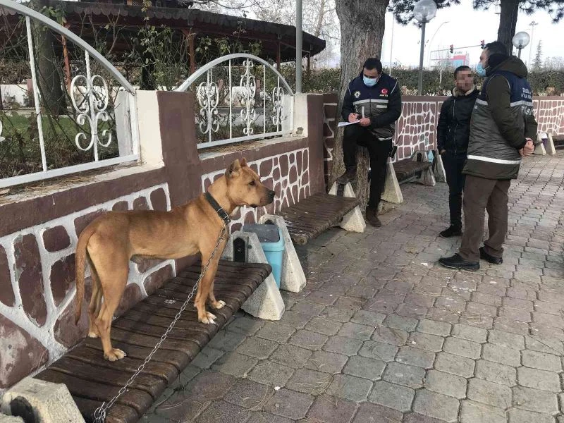 Çocuk parkında pitbull gezdiriyordu, cezayı duyunca kendi elleri ile teslim etti
