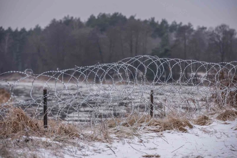 Polonya’nın Belarus sınırında 240’tan fazla göçmenin öldürüldüğü iddiası
