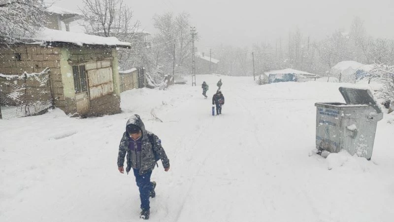 Gevaş’ta kar tatili
