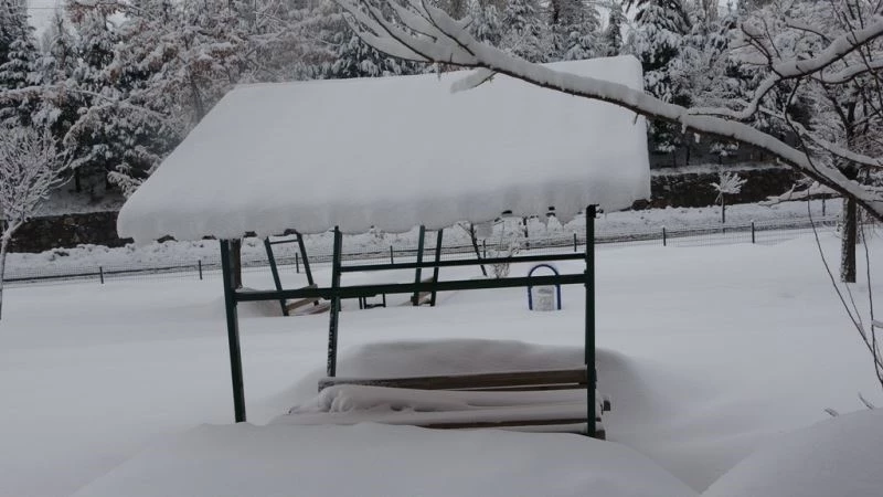 Bitlis’te 198 köy yolu ulaşıma kapandı
