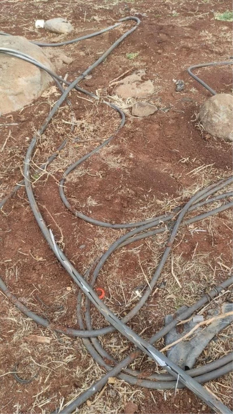 Hırsızlar bu defa çiftçinin alın terine göz dikti
