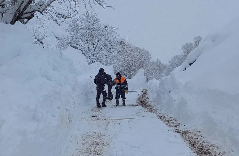 İçme suyu kaynağının üzerine çığ düştü, şehir susuz kaldı
