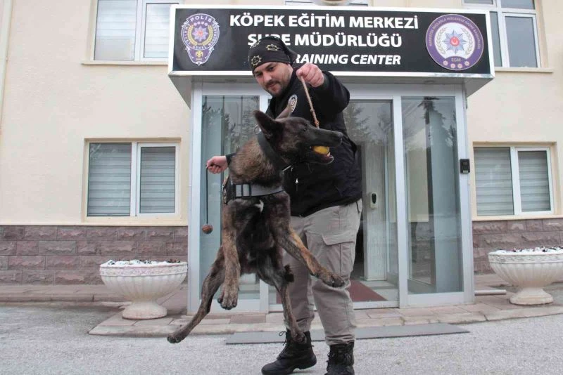 (Özel) Operasyonların gizli kahramanı ’dedektör köpekler’ böyle eğitiliyor
