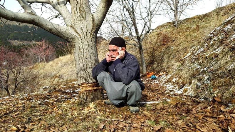 Ağaçları katledilen yaşlı adam 