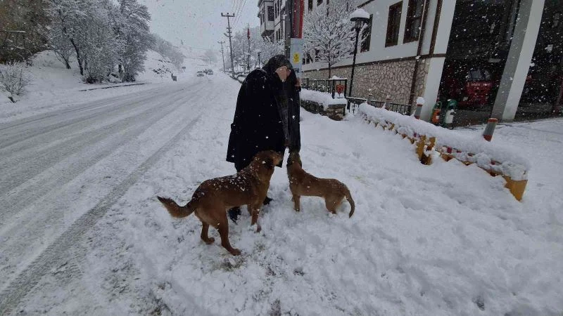Onlar itfaiyenin neşe kaynakları
