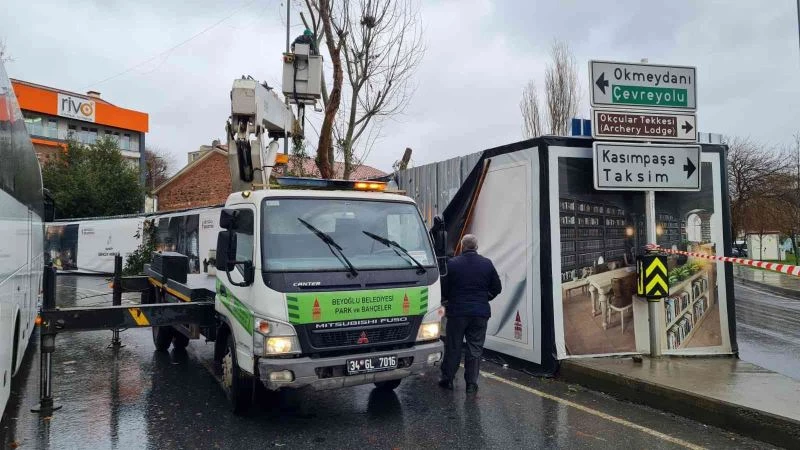 Beyoğlu’nda budanan ağaç dalları vatandaşlara yakacak olarak dağıtıldı
