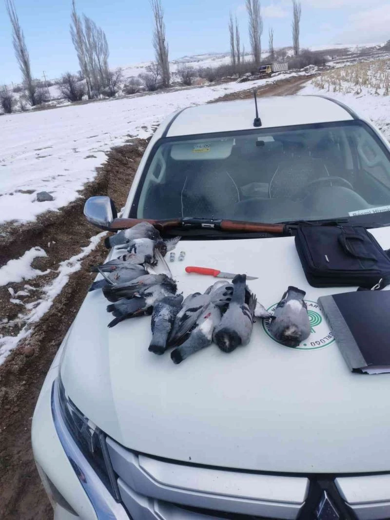 Kaçak avcılar, avlandı
