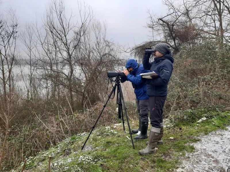 Efteni Gölü’nde kuş sayımı yapıldı
