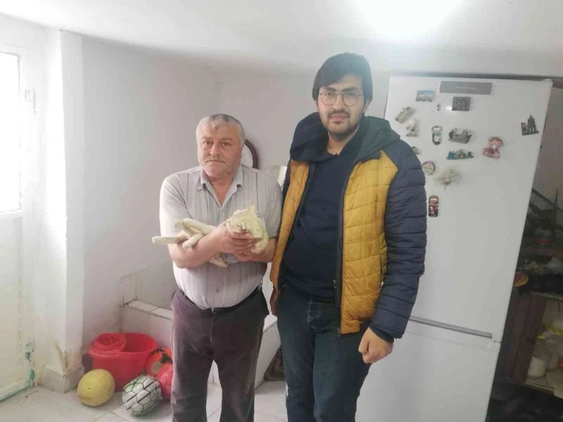 Akşehir Belediyesi sahipli hayvanlar için de kısırlaştırma hizmetine devam ediyor
