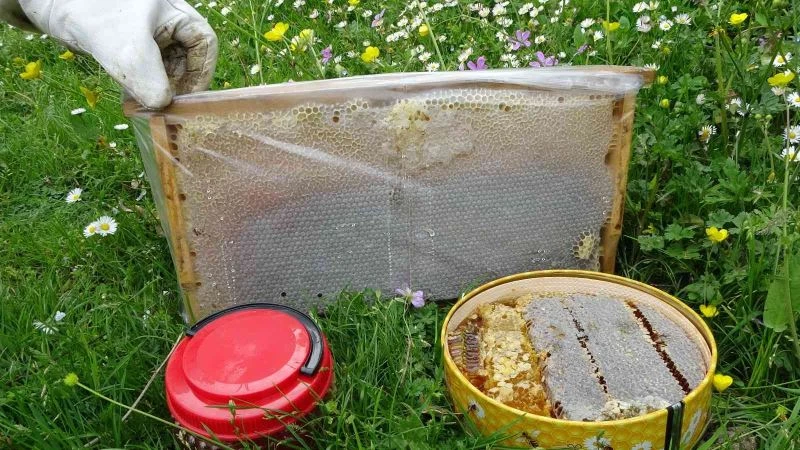 Uzmanı uyardı: “Piyasada hiç arı görmeden üretilen sahte ballar var”
