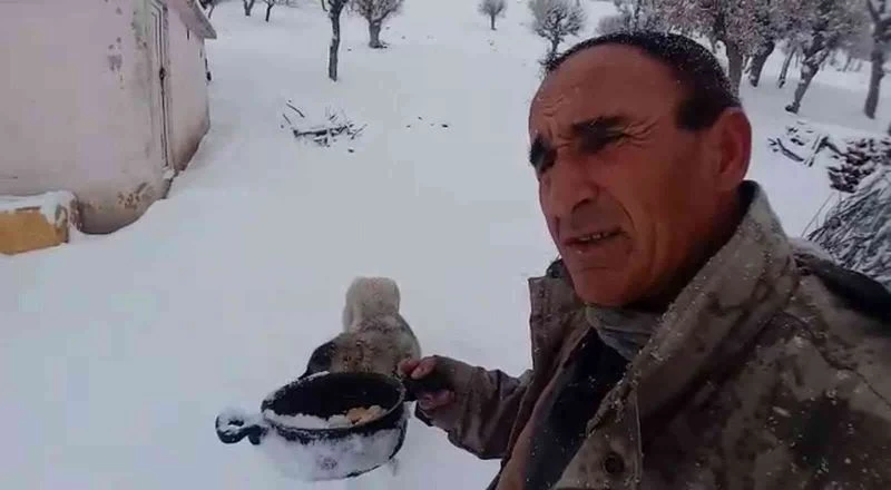 Kendi yemeğini sokak hayvanlarıyla paylaştı
