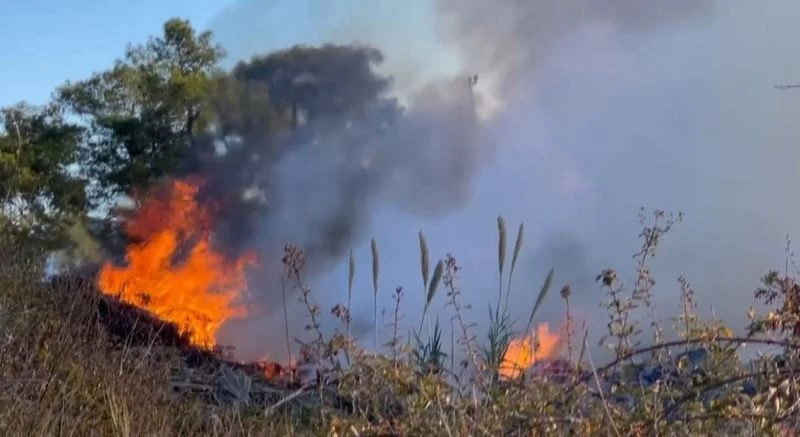 Ormanlık alan yakınında bulunan çöplükten çıkan dumanlar panik oluşturdu
