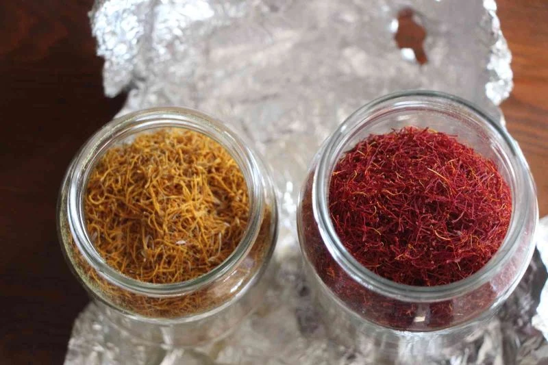 1 dönümden 1 kilo çıkıyor, kilosunu 90 bin liraya satıyor
