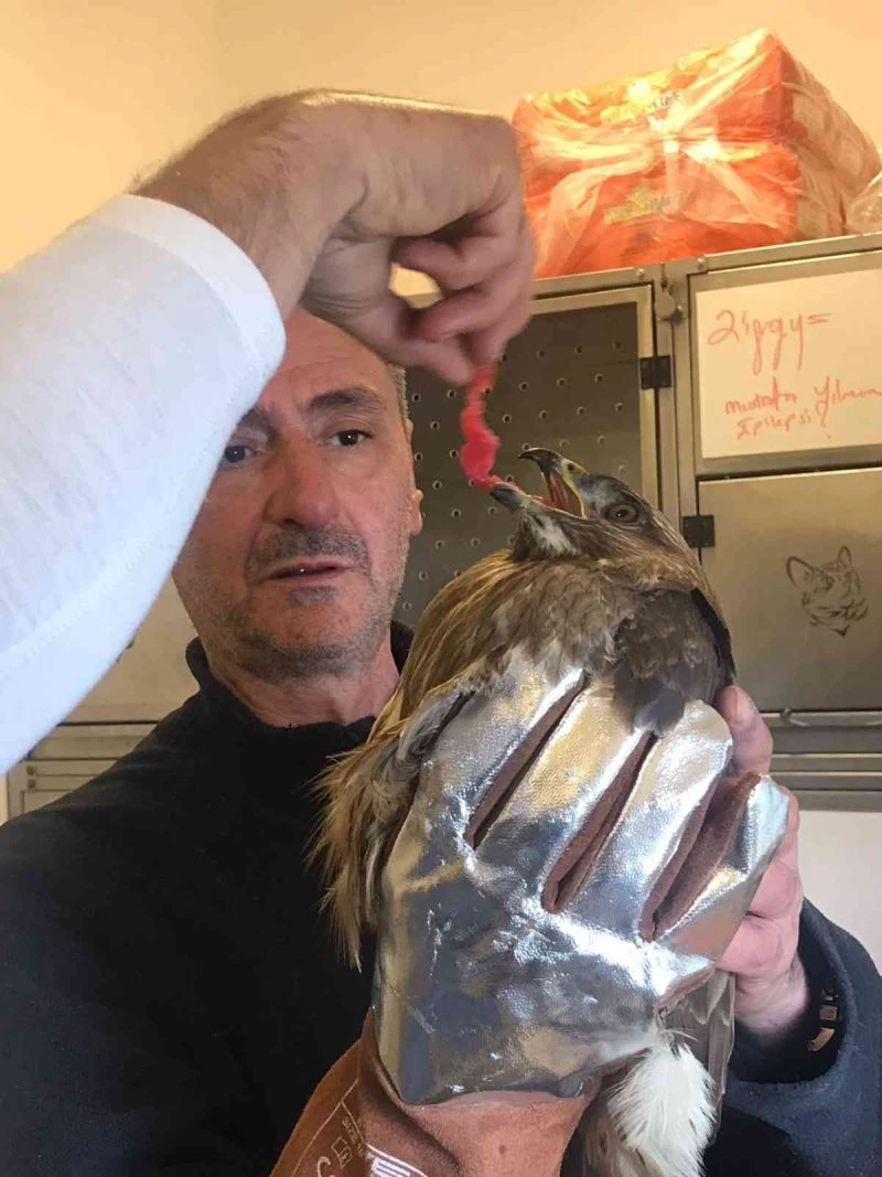 Soğuk hava şahini de vurdu
