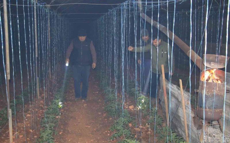 Mersin’de bahçelerde lastikler, seralarda sobalar yakıldı, zirai don nöbeti başladı
