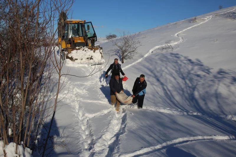 Battalgazi’de ‘tavukları’ telef olmaktan ekipler kurtardı
