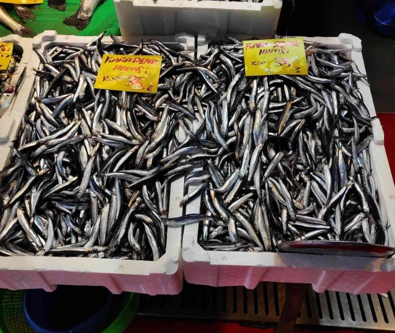 Hava soğudu, balık tezgahları şenlendi
