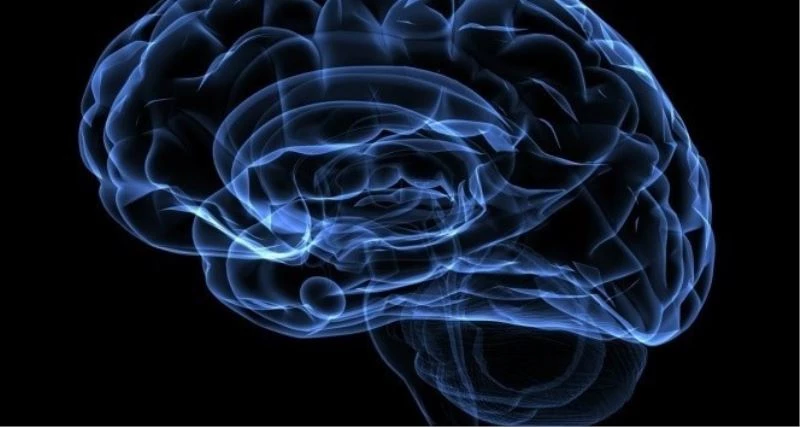 “Başkasının dertlerini dinlemek beyni güçlendiriyor”
