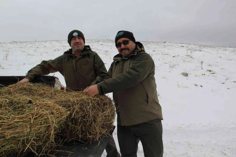 Olumsuz hava şartlarında yaban hayvanları unutulmadı
