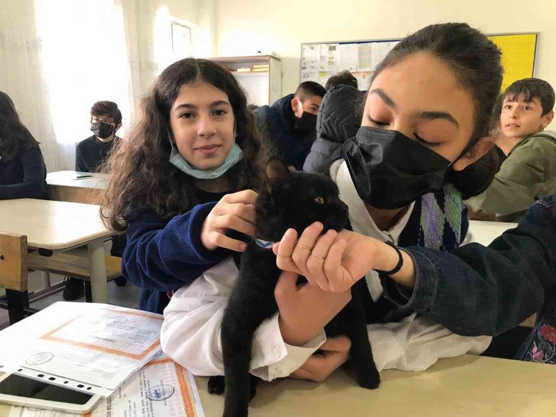 Karam okulun maskotu oldu
