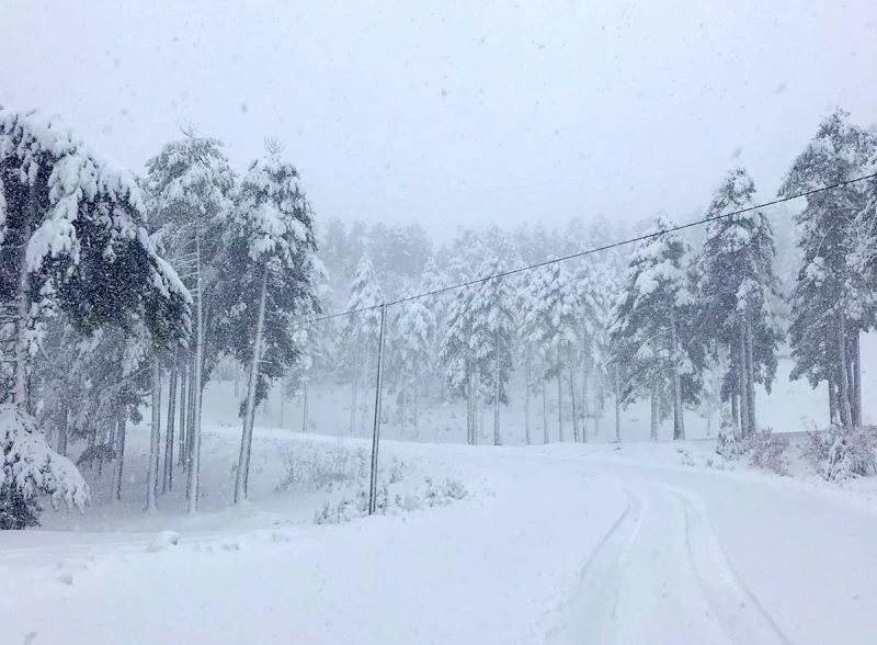 Meteoroloji sarı kodla uyardı, yoğun kar yağışı bekleniyor
