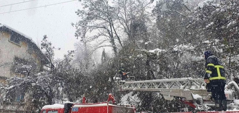 Çatıların üzerine düşen ağaçlara temizleme ve budama çalışması yapıldı
