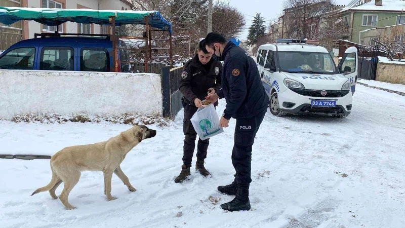 (Özel) Polis hem devriye gezdi hem de sokak hayvanlarını beslediler
