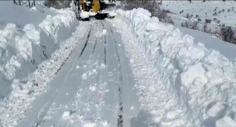 Gercüş’te köylerdeki hastaların imdadına Özel İdare ve sağlık ekipleri koşuyor
